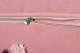 Lorena Canals Lorena Canals Pufa English Garden Ash Rose 2