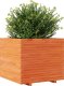 Skrzynia ogrodowa vidaXL Donica ogrodowa, woskowy brąz, 80x80x72 cm, drewno sosnowe 4