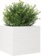 vidaXL Donica ogrodowa, biała, 80x80x68,5 cm, lite drewno sosnowe 4