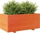 vidaXL Donica ogrodowa, woskowy brąz, 110x60x49,5 cm, drewno sosnowe 4