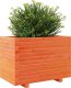 vidaXL Donica ogrodowa, woskowy brąz, 70x40x49,5 cm, drewno sosnowe 4