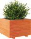 vidaXL Donica ogrodowa, woskowy brąz, 70x70x49,5 cm, drewno sosnowe 4