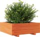 vidaXL Donica ogrodowa, woskowy brąz, 70x70x26,5 cm, drewno sosnowe 4