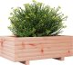 vidaXL Donica ogrodowa, 70x40x26,5 cm, lite drewno daglezjowe 4