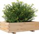 vidaXL Donica ogrodowa, 90x60x26,5 cm, lite drewno sosnowe 4