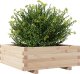 vidaXL Donica ogrodowa, 70x70x26,5 cm, lite drewno sosnowe 4