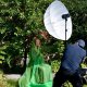 Elinchrom Elinchrom Umbrella Portrait Kit 2