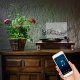 Gramofon DNA DNA TT1 gramofon odtwarzacz płyt winylowych Bluetooth 5