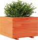 vidaXL Donica ogrodowa, woskowy brąz, 70x70x49,5 cm, drewno sosnowe 4