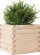vidaXL Donica ogrodowa, 50x50x45,5 cm, lite drewno sosnowe 4