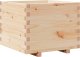 vidaXL Donica ogrodowa, 60x60x49,5 cm, lite drewno sosnowe 2
