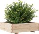 vidaXL Donica ogrodowa, 90x90x26,5 cm, lite drewno sosnowe 4
