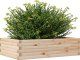 vidaXL Donica ogrodowa, 90x60x23 cm, lite drewno sosnowe 4