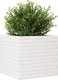 vidaXL Donica ogrodowa, biała, 50x50x45,5 cm, lite drewno sosnowe 4