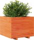 vidaXL Donica ogrodowa, woskowy brąz, 60x60x49,5 cm, drewno sosnowe 4