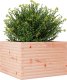 vidaXL Donica ogrodowa, 70x70x46 cm, lite drewno daglezjowe 4