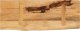 vidaXL Blat stołu, 70x30x2,5cm, naturalna krawędź, surowe drewno mango 5