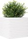 vidaXL Donica ogrodowa, biała, 50x50x46 cm, lite drewno sosnowe 4
