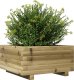 vidaXL Donica ogrodowa, 50x50x26,5 cm, impregnowane drewno sosnowe 4