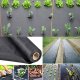 Heckermann Agrowłóknina Heckermann 1,6x50m 100g/m2 Czarna 10