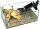 Heckermann Uchwyt do żarówek metalowy Heckermann BM-JD-10CM czarny + Żarówka IR do terrarium 50W 11