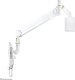 Neomounts by NewStar NEOMOUNTS FPMA-HAW100 Medical LCD Wall Mount 25,4-60,96cm 10-24Zoll kipp-/schwenkbar pivot VESA 75x75/100x100 6kg grau 16