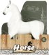 Figurka Mega Creative KONIK 11X13X4 MIX6 MC DISP  12/288 7