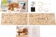 UGEARS SAMOLOT UGEARS MODELS MECHANICZNY PUZZLE DREWNIANE 11