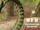 MFH BRANSOLETKA LINA PARACORD  23mm oliv   M 5