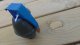 MFH GRANAT M61 5