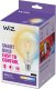 Signify WiZ Filament 60W E27 Globeform G125 Clear Einzelpack 10