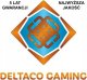 Mysz Deltaco Belaidė itin lengva žaidimų pelė GAMING Rožinis LINE PM80 70g svorio, RGB, SPCP6651, 400-4800 DPI, 1000 Hz, rožinė / GAM-120-P 10