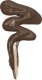 Makeup Revolution Makeup Revolution, REVOLUTION PRO, Vegan, Liquid Concealer, C 17, 8.5 ml For Women 2