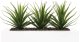 Atmosphera Sztuczna roślina, 3 x aloes w białej donicy, 31 cm 2