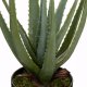 Atmosphera Sztuczny aloes REAL TOUCH, wys. 44 cm 2
