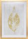 Atmosphera Plakat w drewnianej ramie LEAF, 50 x 70 cm 1