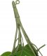 Atmosphera Sztuczna roślina MONSTERA, wisząca, 85 cm 3