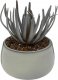 Atmosphera Sztuczny sukulent w doniczce CAF, wys. 18 cm 1