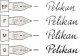 Pelikan Pelikan Pura P40 wieczne pióro Mokka, Srebrny 1 szt. 8