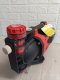 Einhell POMPA OGRODOWA AKU AQUINNA 36/38F LED AUTOMATIC 4180420 4