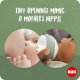 NUK NUK BUTELKA PP 260ML M FOR NATU POP 10742005 1/6 7