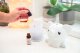 Dyfuzor zapachowy Eta | Aroma Diffuser | ETA963490000 | Humidifier | Suitable for rooms do 20 m² | biały 12
