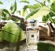 Jo Malone JO MALONE WOOD SAGE & SEA SALT EDC/S (W) 100ML 12