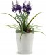 Ibergarden Osłonka na doniczkę typu wiaderko, cynowa, biała, Ø 10 cm 1