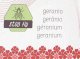 Ibergarden Świeca zapachowa geranium, przeciw muchom, Ø 8 cm 2
