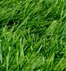Ibergarden Sztuczna trawa na balkon, rolka, wys. 2,2 cm, 1 x 3 m 2
