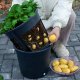 Prosperplast Doniczka do uprawy ziemniaków Planter Donica 12l + nasiona ziemniaka 5