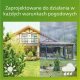Signify Philips Outdoor A-Label Straosphere Sockel UE 3.8W 27K anth 6