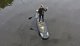 ExtraLink EXTRALINK DESKA SUP 350CM POMPOWANA ZESTAW + WIOSŁO SUP-1010 6