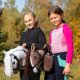 Froster Koń na Kiju - Hobby Horse Skippi - Biały 6